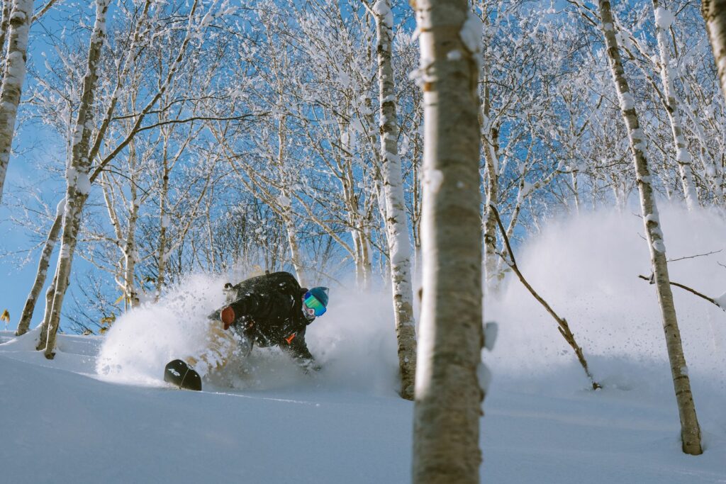 forever snowboard powder japan